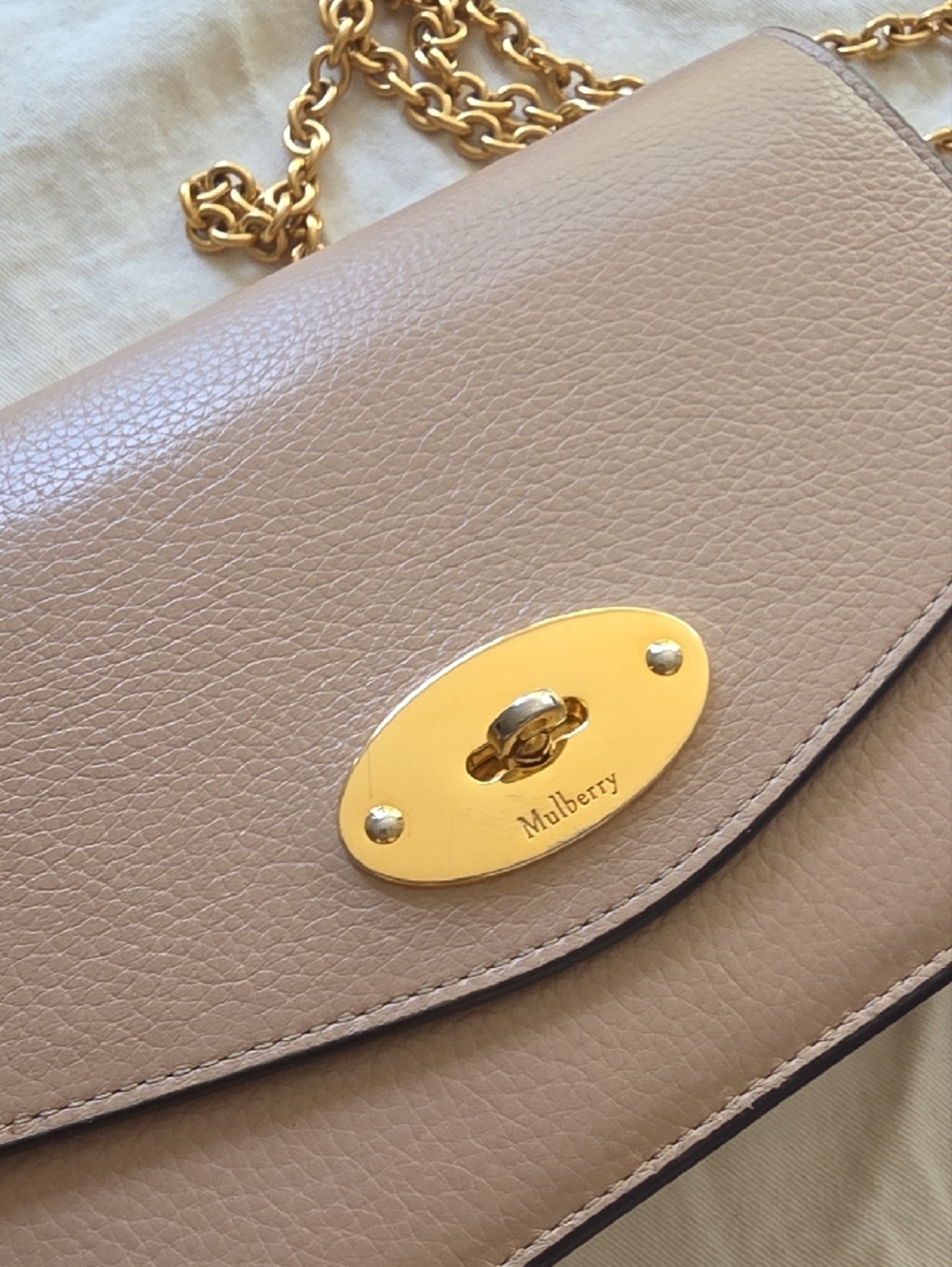 Mulberry Leather Flap Crossbody in Pale Blush - Picture 5 of 8